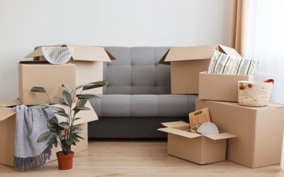 Why Moving Companies Pretoria Are Worth the Investment in 2025
