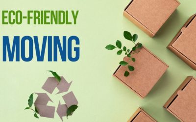 The Smart Choice for Sustainable Business Growth with Eco Friendly Packaging
