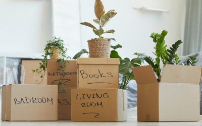 Your Complete Guide to a Smooth, Stress-Free Move With Local Moving Tips