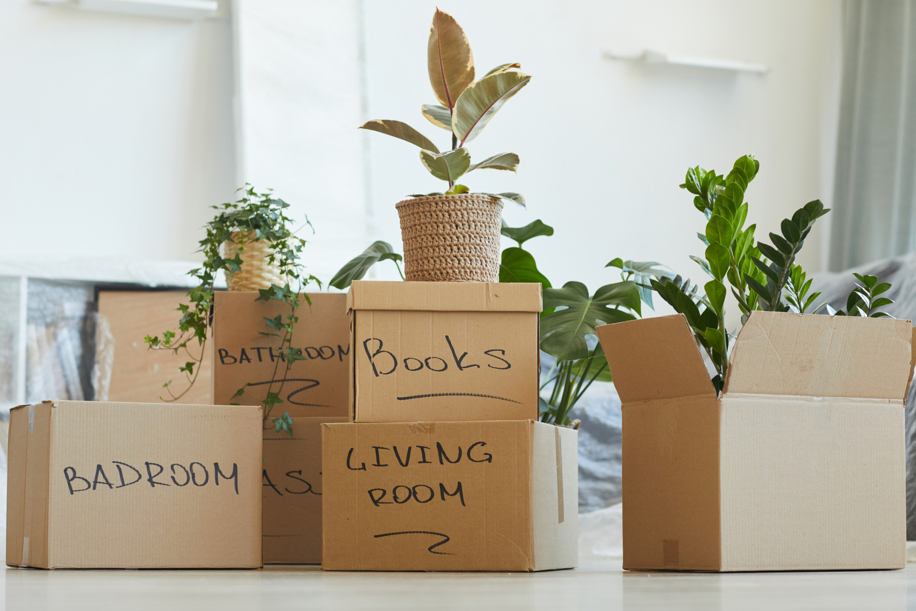Your Complete Guide to a Smooth, Stress-Free Move With Local Moving Tips