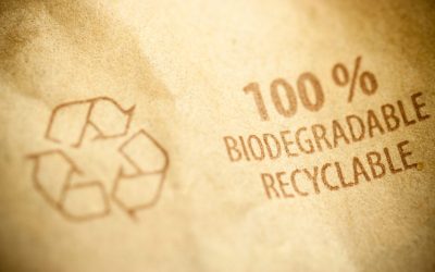 Biodegradable Packaging 